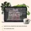 Digital Marketing 101 - Starter Pack